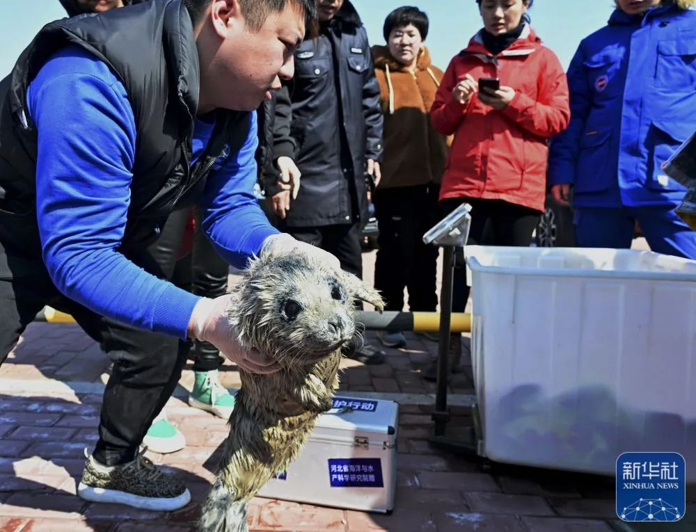 微信图片_20240313151433.png