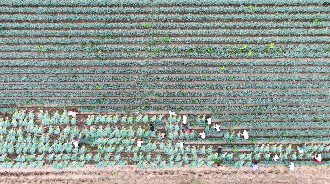 微信图片_20240813103625.png