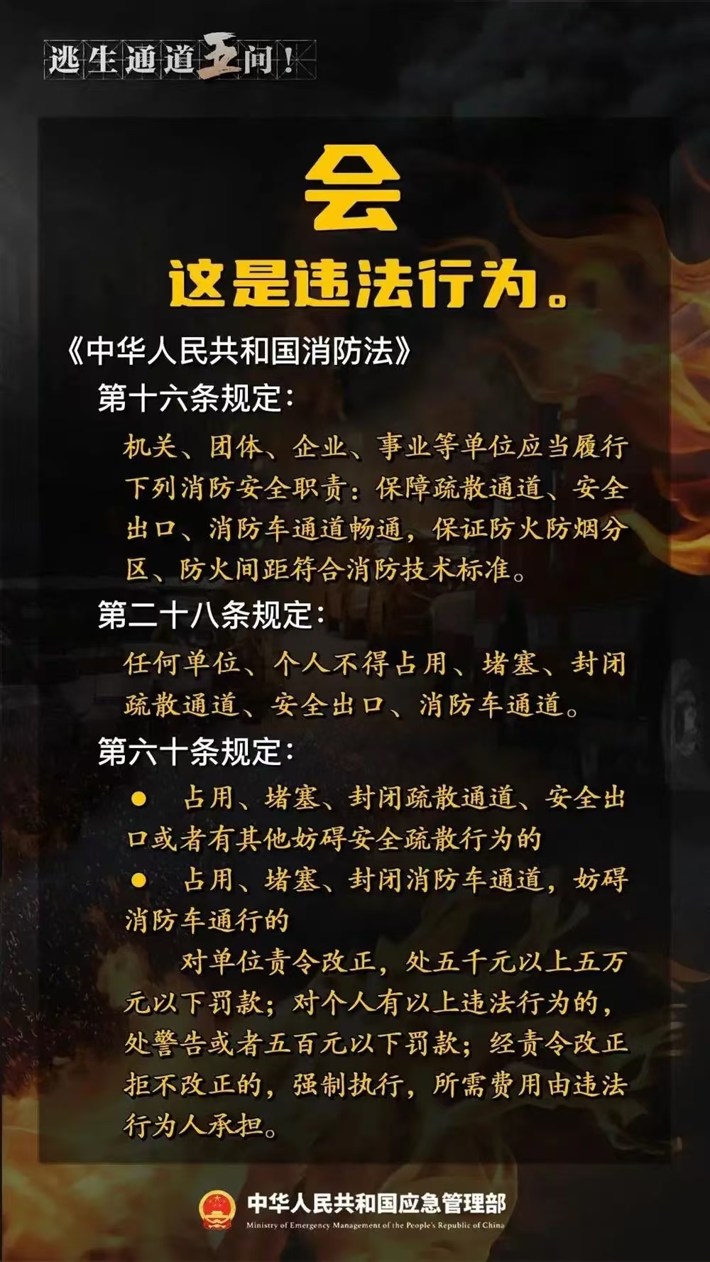 20adce2b02b6c7bfdc9a167fef629ba.jpg