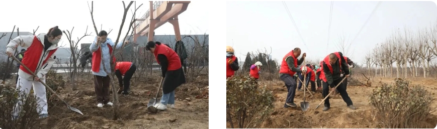 微信截图_20250313083804.png