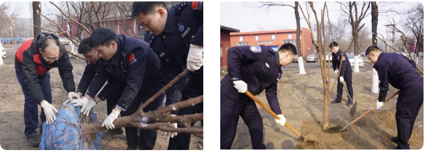 微信截图_20250313083833.png